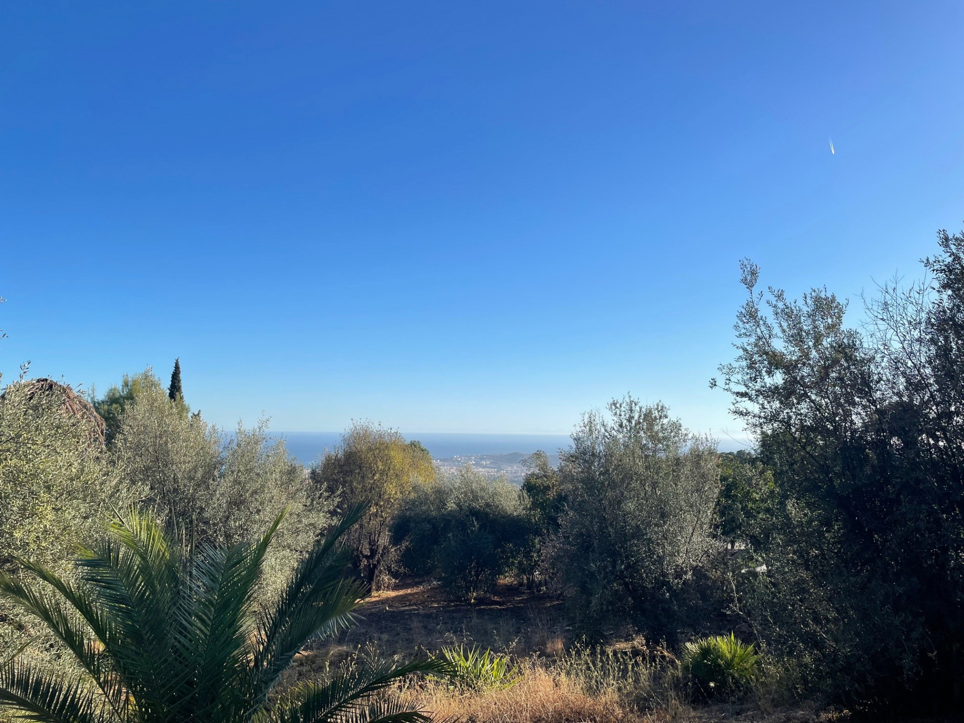 Plot – Mijas Pueblo – Mijas – 361