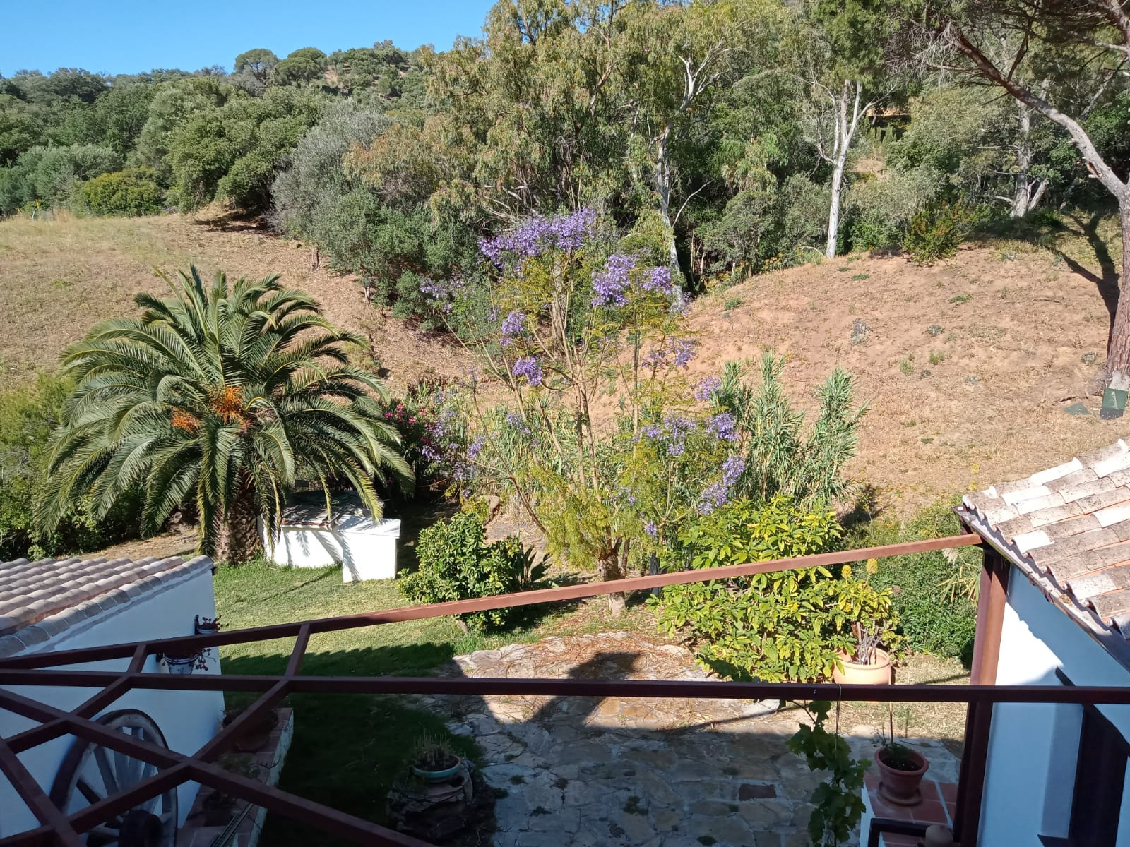 Finca – Casares – 318