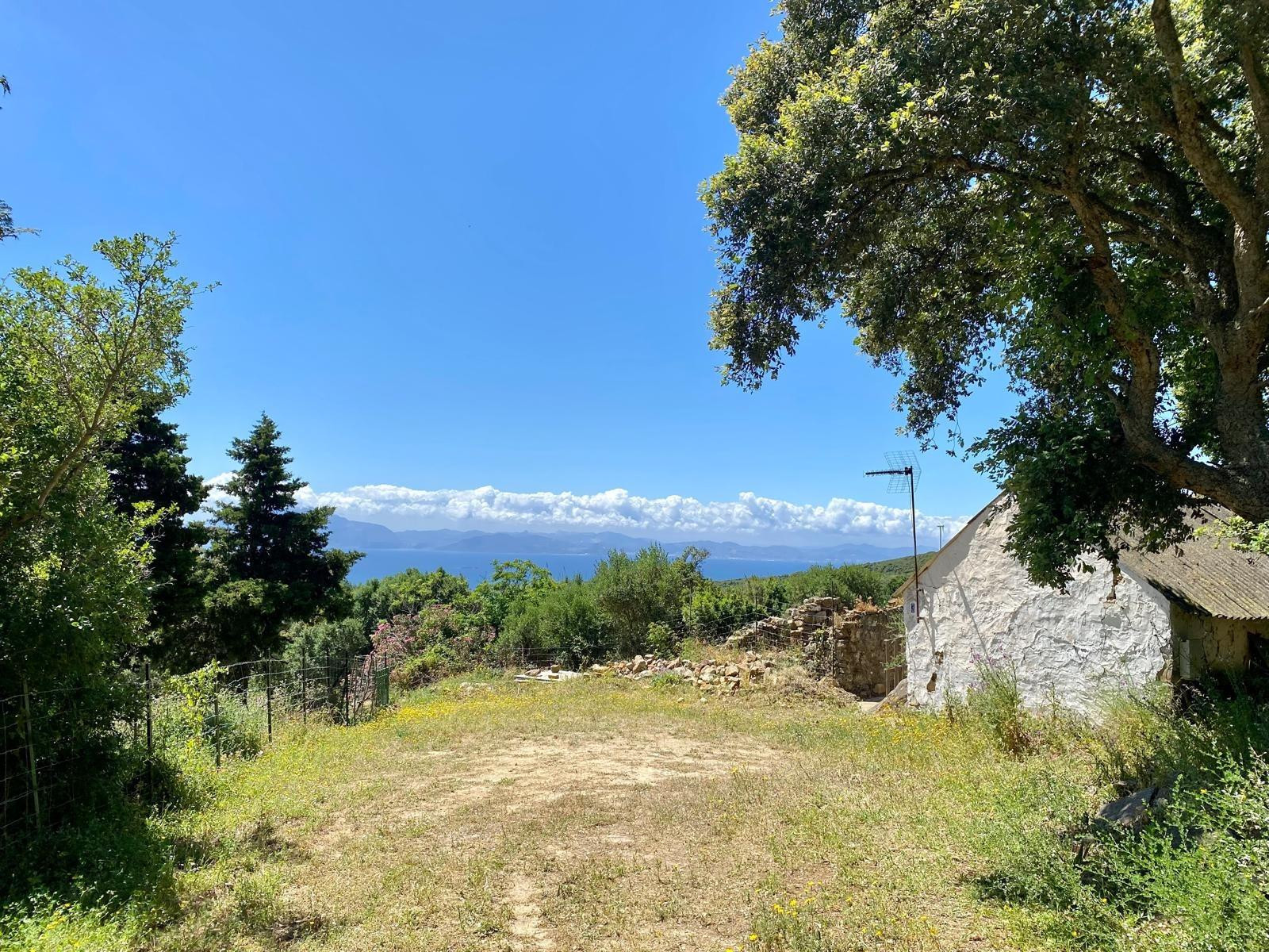 Finca – Tarifa – bella00144