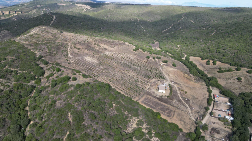 Plot – Manilva – bella00157
