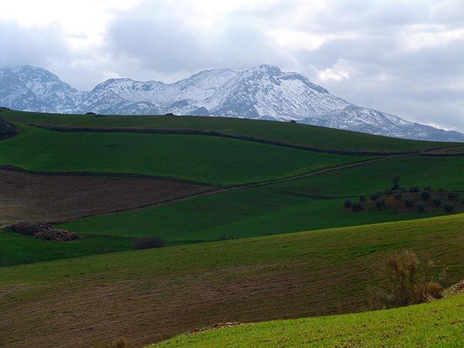Plot – Ardales – bella00211