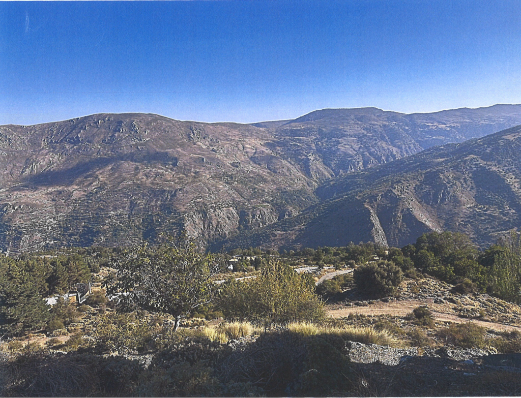 Plot – Güejar Sierra – bella00208