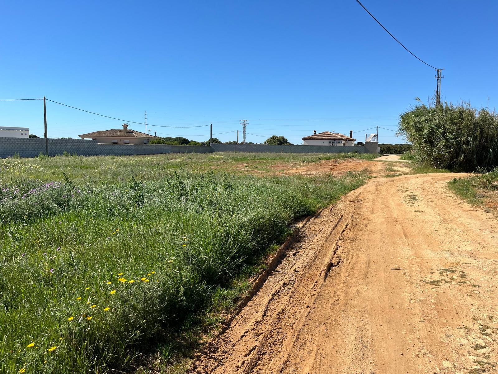 Plot – Roche – Conil de la Frontera – 963