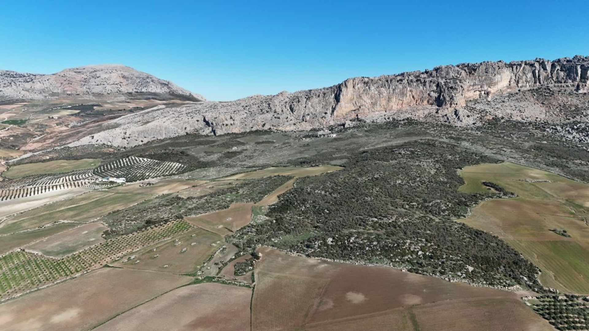 Cortijo – Villanueva de la Concepción – 1063
